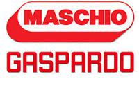 F04010131R Подшипник (6004 2RS, 51104405) Gaspardo