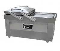 Вакуумный упаковщик DZQ-600/2SD Eco